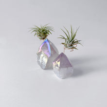 Load image into Gallery viewer, Angel Aura Amethyst Crystal Point Air Plant Holder
