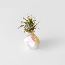 Load image into Gallery viewer, Angel Aura Citrine Crystal Air Plant Holder
