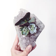 Load image into Gallery viewer, Amethyst Crystal Succulent Planter
