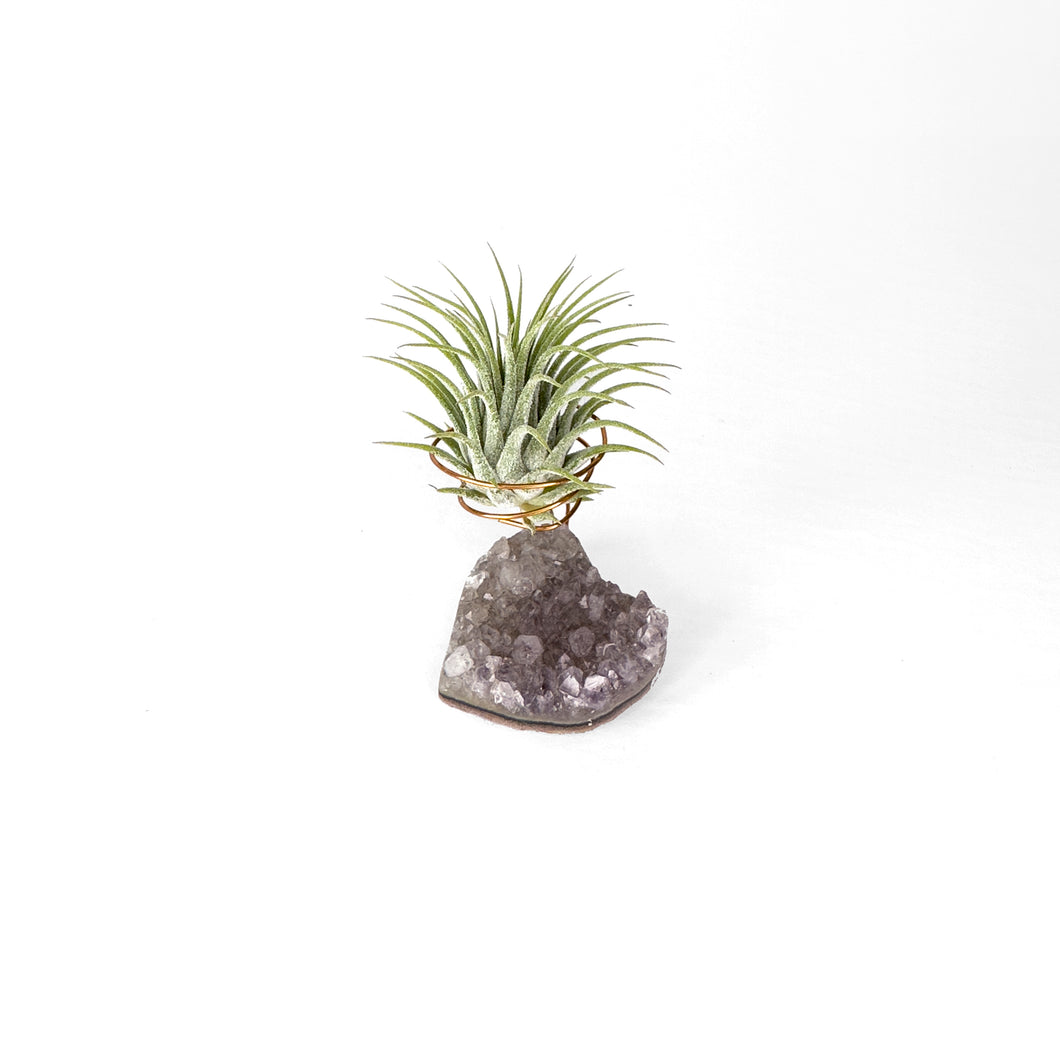 Heart-Shaped Crystal Air Plant Holder