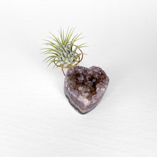 Load image into Gallery viewer, Heart-Shaped Crystal Air Plant Holder
