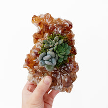Load image into Gallery viewer, Citrine Crystal Succulent Planter
