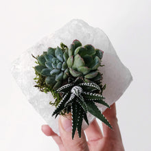 Load image into Gallery viewer, Clear Quartz Crystal Succulent Planter
