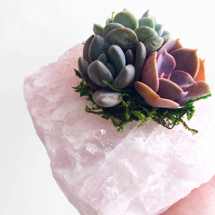 Crystal guide to the month of love and self-love