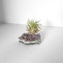 Load image into Gallery viewer, Angel Aura Amethyst Cluster Air Plant Holder
