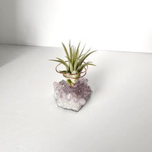 Load image into Gallery viewer, Angel Aura Amethyst Cluster Air Plant Holder
