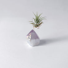 Load image into Gallery viewer, Angel Aura Amethyst Crystal Point Air Plant Holder
