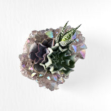 Load image into Gallery viewer, Angel Aura Amethyst Succulent Planter
