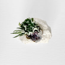 Load image into Gallery viewer, Clear Quartz Cluster Succulent Planter
