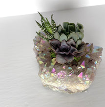 Load and play video in Gallery viewer, Angel Aura Amethyst Succulent Planter
