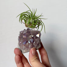Load and play video in Gallery viewer, Angel Aura Amethyst Cluster Air Plant Holder
