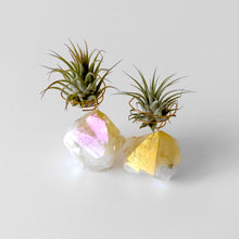 Load image into Gallery viewer, Angel Aura Citrine Crystal Air Plant Holder
