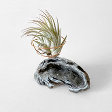Load image into Gallery viewer, Agate Geode Air Plant Holder
