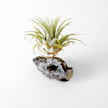 Load image into Gallery viewer, Agate Geode Air Plant Holder

