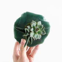 Load image into Gallery viewer, Polished Green Quartz Crystal Succulent Planter
