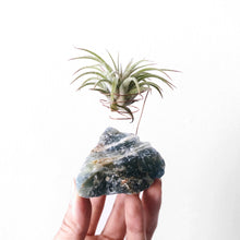 Load image into Gallery viewer, Blue Onyx Crystal Air Plant Holder
