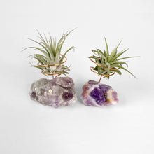 Load image into Gallery viewer, Chevron Amethyst Crystal Air Plant Holder
