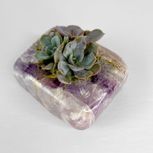Load image into Gallery viewer, Chevron Amethyst Crystal Succulent Planter
