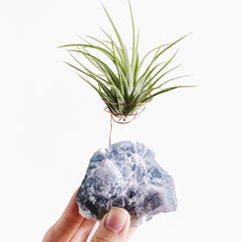Load image into Gallery viewer, Fluorite Crystal Air Plant Holder
