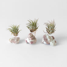 Load image into Gallery viewer, Pink Tourmaline Crystal Air Plant Holder
