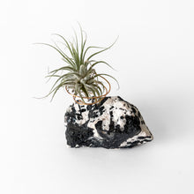 Load image into Gallery viewer, Black Tourmaline and Feldspar Crystal Air Plant Holder
