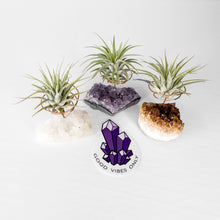 Load image into Gallery viewer, Bestseller Crystals Air Plant Holder Set ($85 Value)
