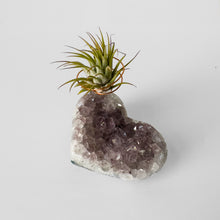 Load image into Gallery viewer, Amethyst Crystal Heart Air Plant Holder
