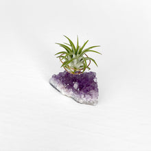 Load image into Gallery viewer, Amethyst Crystal Air Plant Holder
