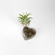 Load image into Gallery viewer, Heart-Shaped Crystal Air Plant Holder
