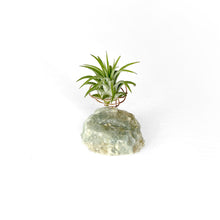 Load image into Gallery viewer, Aquamarine Crystal Air Plant Holder
