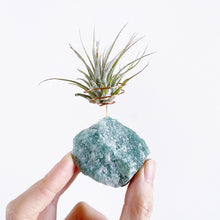 Load image into Gallery viewer, Aventurine Crystal Air Plant Holder
