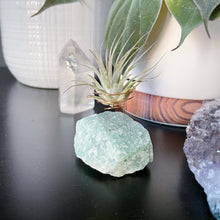 Load image into Gallery viewer, Aventurine Crystal Air Plant Holder
