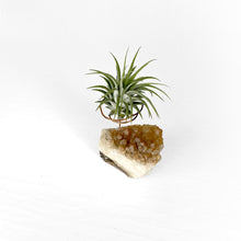 Load image into Gallery viewer, Citrine Crystal Air Plant Holder
