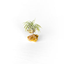 Load image into Gallery viewer, Citrine Crystal Air Plant Holder

