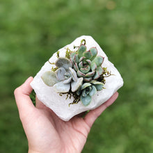 Load image into Gallery viewer, Clear Quartz Crystal Succulent Planter
