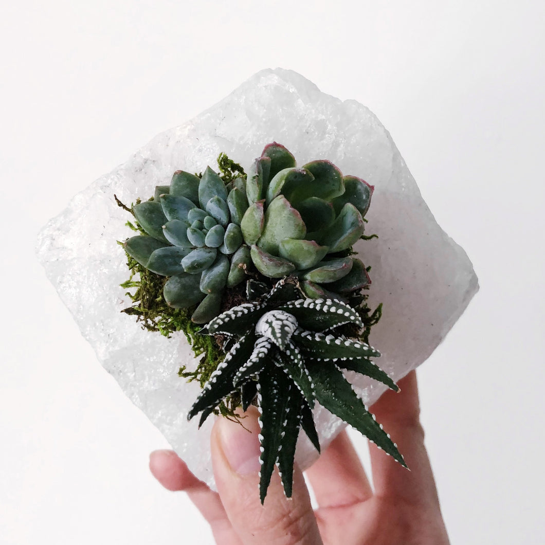 Clear Quartz Crystal Succulent Planter