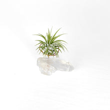 Load image into Gallery viewer, Clear Quartz Crystal Air Plant Holder
