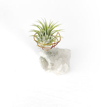 Load image into Gallery viewer, Clear Quartz Crystal Air Plant Holder
