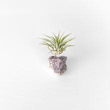 Load image into Gallery viewer, Lepidolite Crystal Air Plant Holder
