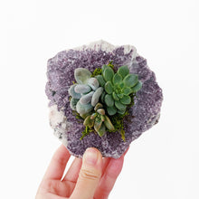 Load image into Gallery viewer, Lepidolite Crystal Succulent Planter
