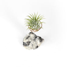 Load image into Gallery viewer, Moonstone Crystal Air Plant Holder
