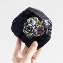 Load image into Gallery viewer, Obsidian Succulent Planter
