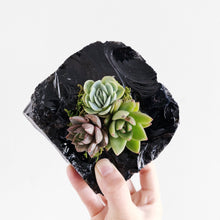 Load image into Gallery viewer, Obsidian Succulent Planter
