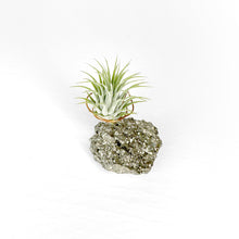 Load image into Gallery viewer, Pyrite Crystal Air Plant Holder
