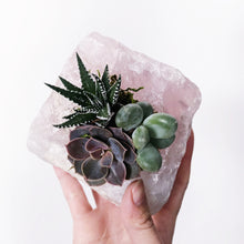 Load image into Gallery viewer, Rose Quartz Crystal Succulent Planter
