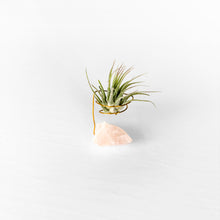 Load image into Gallery viewer, Rose Quartz Crystal Air Plant Holder
