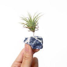 Load image into Gallery viewer, Sodalite Crystal Air Plant Holder
